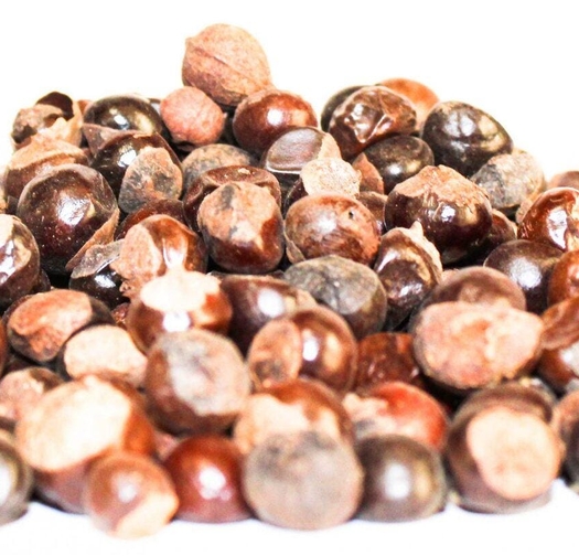 Organic Guarana Seeds | Whole Guarana Seeds | Paullinia Cupana | Guarana Fruit | Guarana Tea | Dried Fruit | Organic Fruit | Herbal Tea