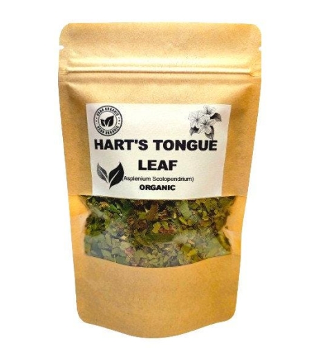 Organic HART'S TONGUE LEAF | asplenium scolopendrium | hart's tongue fern leaf | harts tongue tea | herbal tea | organic herbs | herba | tea