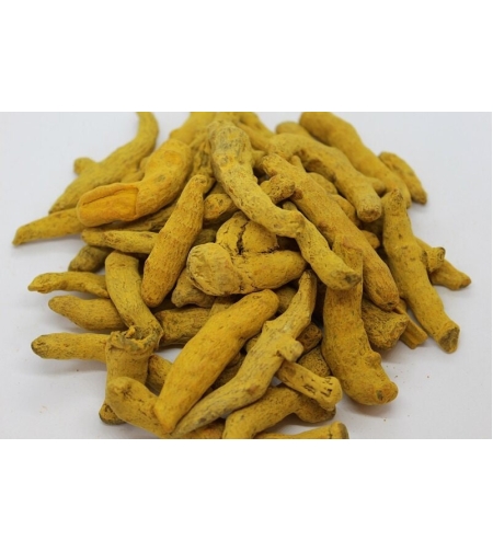 Organic TURMERIC ROOT | Curcuma Long | Turmeric Root Tea | Dried Root | Organic Root | Herbal Tea | Herba | Tea | Organic Herbs