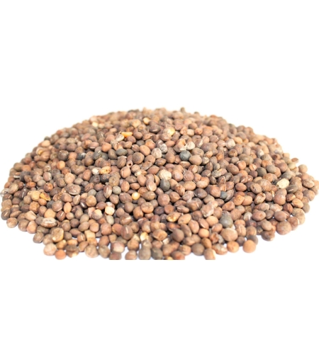 Organic COMMON VETCH SEEDS | Vicia sativa | Vetch Seeds Tea | Garden Vetch | Dried Seeds | Organic Seeds | Herbal Tea | Herba