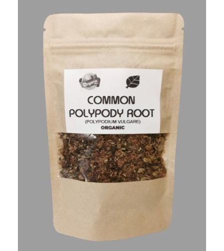 Organic COMMON POLYPODY ROOT | Polypodium vulgare | Polypody Root Tea | Herbal Tea | Herba | Tea | Dried Root | Organic Root | Organic Herbs