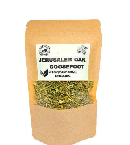 Organic JERUSALEM OAK GOOSEFOOT | chenopodium botrys | dysphania botrys | sticky goosefoot | feathered geranium | herbal tea | organic herbs