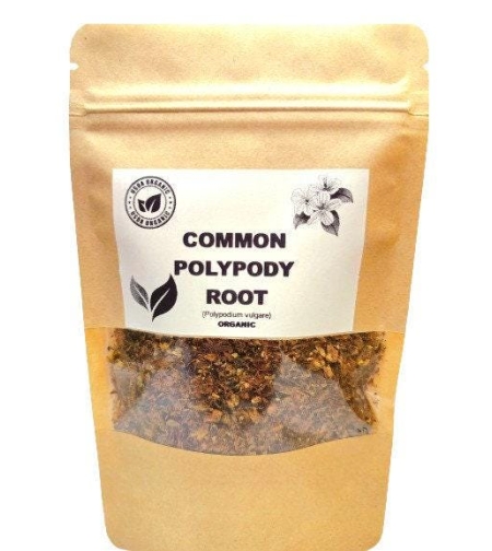 Organic common polypody root | polypodium vulgare | polypody tea | common tea | herbal tea | dried root | organic herbs | herba | tea