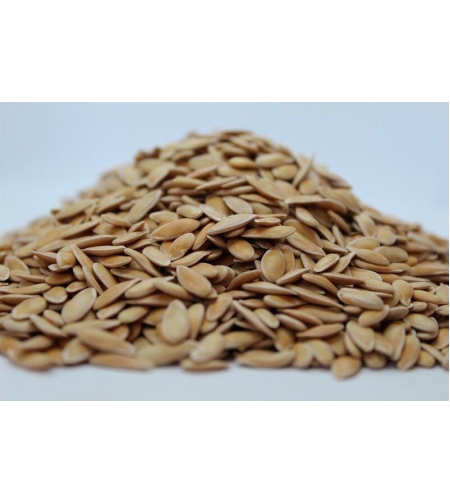 Organic MELON SEEDS | Cucumis Melo | Melon Tea | Herbal Tea | Semens | Dried Seeds | Organic Seeds | Organic Herbs