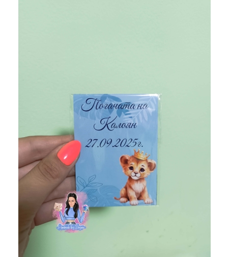 Магнити на тема '' Лъвче в синьо ''