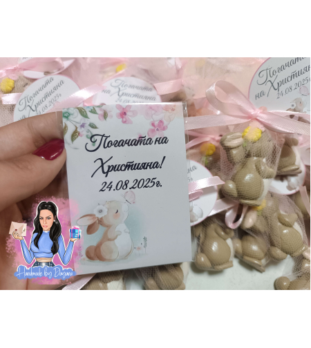 Магнити на тема '' Зайче с пеперуда ''