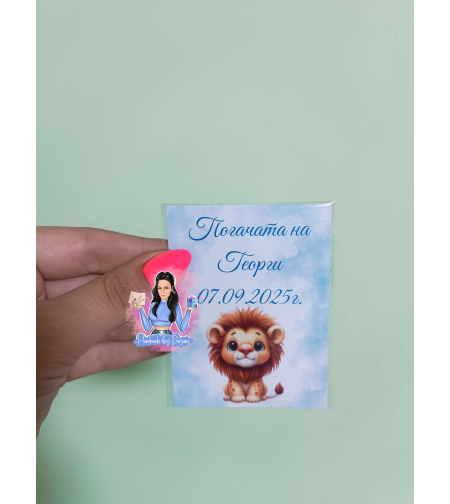 Магнити на тема '' Лъв ''