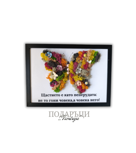 Картина със скандинавски мъх,,Пеперудата на щастието 