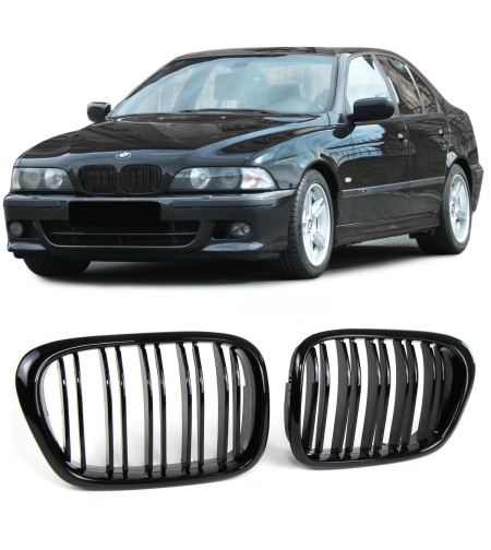 Двойни Бъбреци за BMW E39