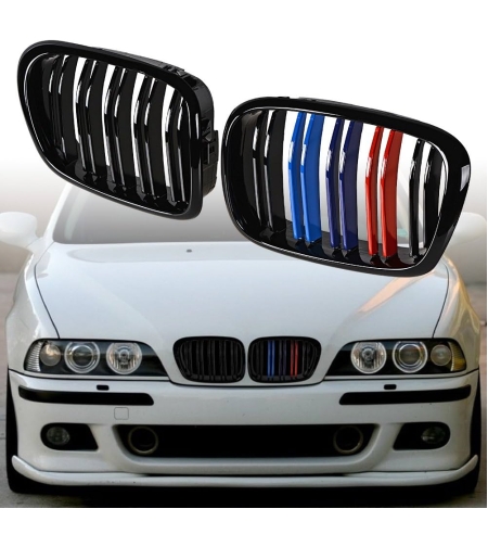 Двойни Бъбреци за BMW E39