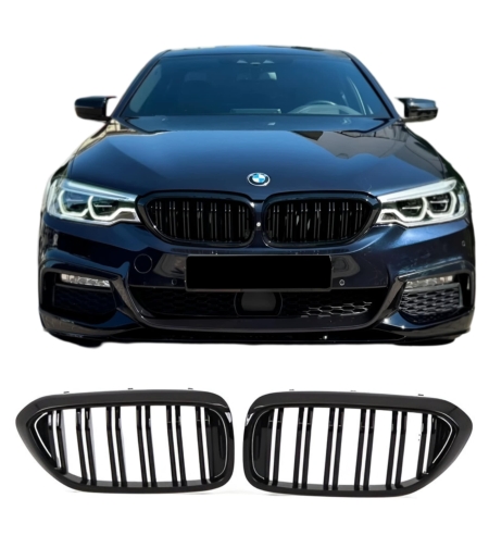 Двойни Бъбреци BMW G30 G31 (2016-2020)