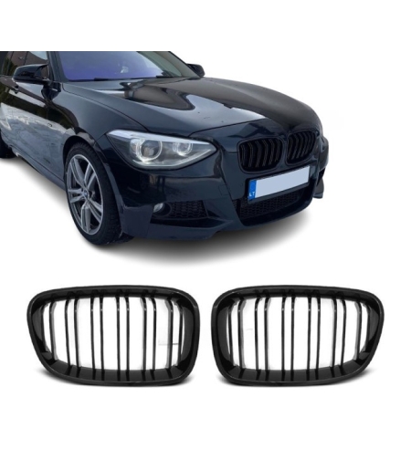 Двойни бъбреци за BMW F20 / F21