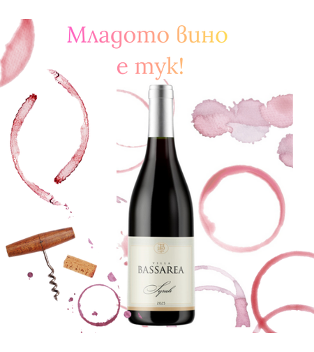 Млада Сира 2025 BASSAREA