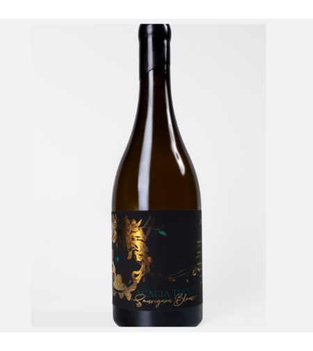 Совиньон блан 2024 Акация Вила Басареа