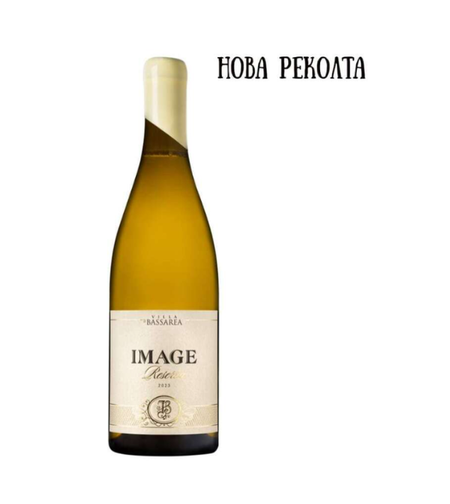 IMAGE white 2023 BASSAREA