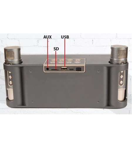 Безжична Bluetooth тонколонка с 2 микрофона караоке - YS215 - 887271 - Сребриста