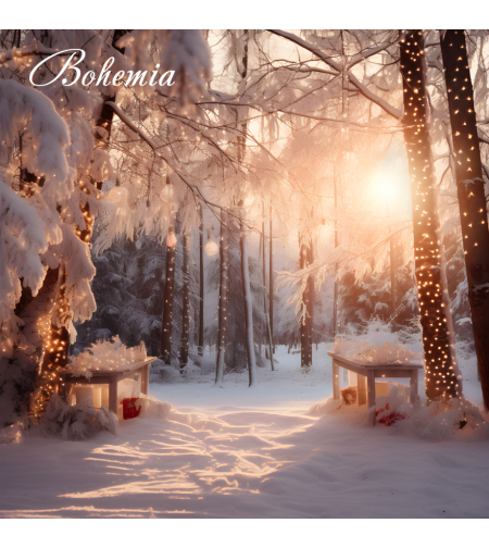 Коледен фон - пейзаж 17