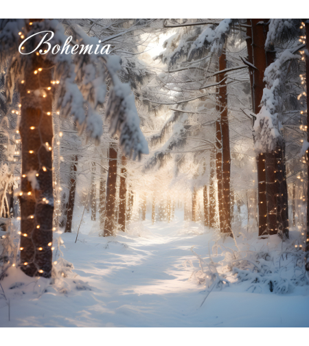Коледен фон - пейзаж 27