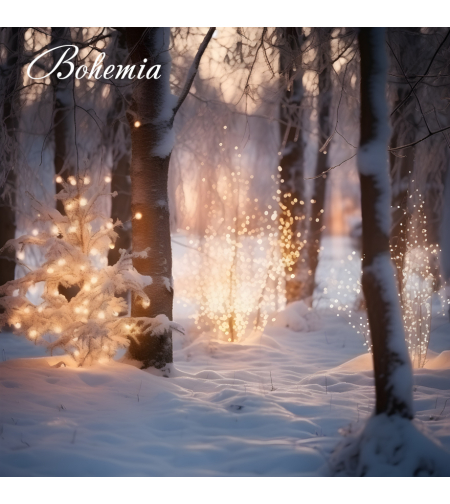 Коледен фон - пейзаж 39