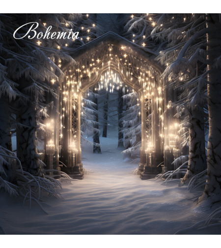 Коледен фон - пейзаж 05