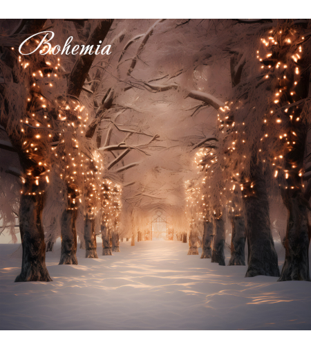 Коледен фон - пейзаж 07