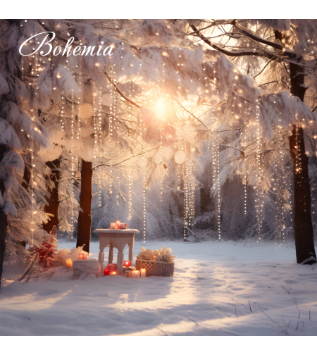 Коледен фон - пейзаж 12