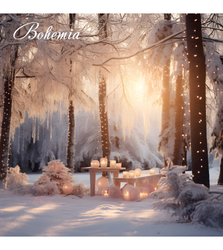 Коледен фон - пейзаж 15