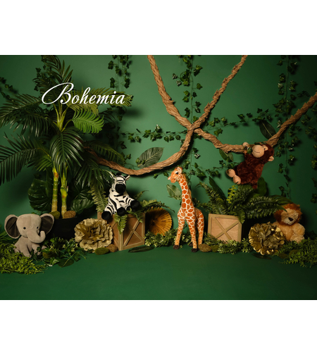 Фотографски фон Smash Cake 72