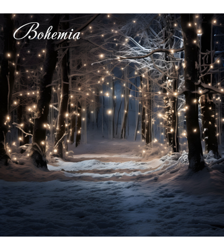 Коледен фон - пейзаж 09