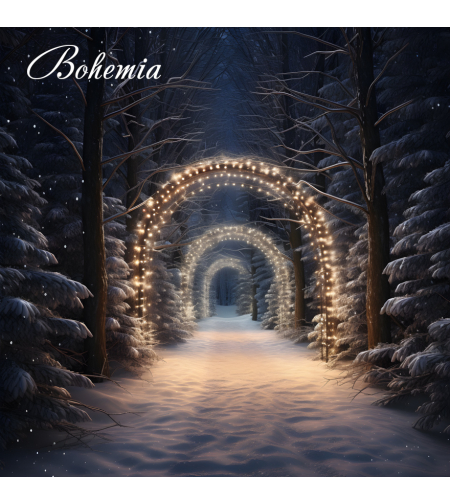 Коледен фон - пейзаж 18