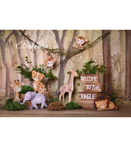 Фотографски фон Smash Cake 07