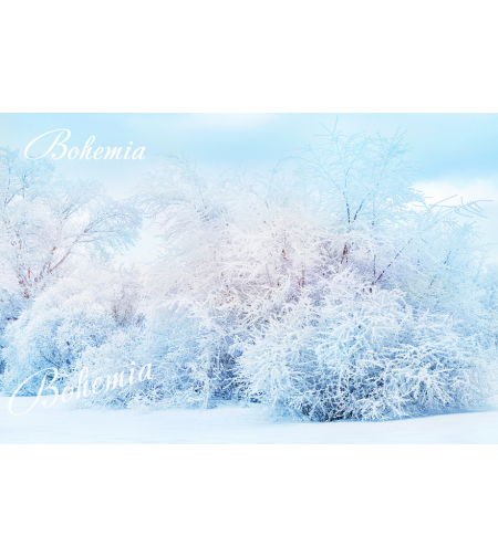 Коледен фон - пейзаж 04