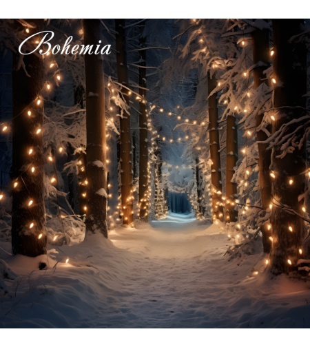 Коледен фон - пейзаж 08