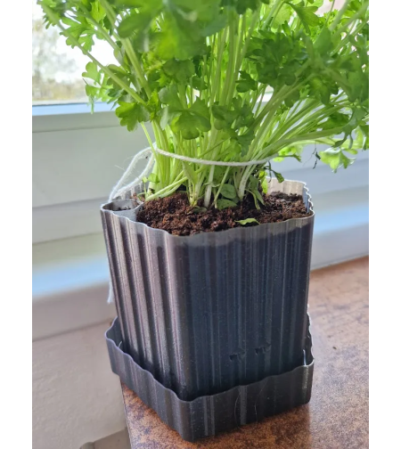 Самополивна Кашпа Хексагон