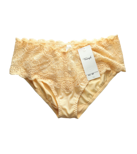 Triumph Lace Briefs • L