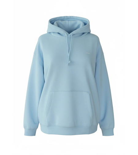 Levi’s Everyday Hoodie • L