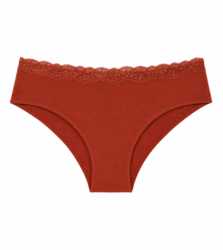 Triumph Touch of Modal Lace Hipster • M