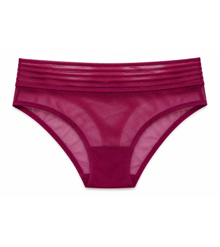Triumph Mesh Brazilian Briefs • M