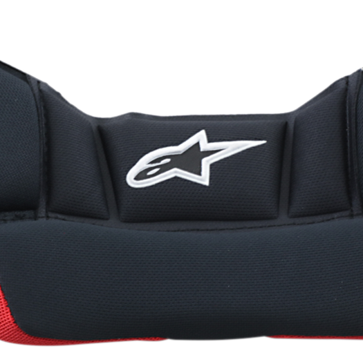 Вътрешност за каска ALPINESTARS SM10/SM8