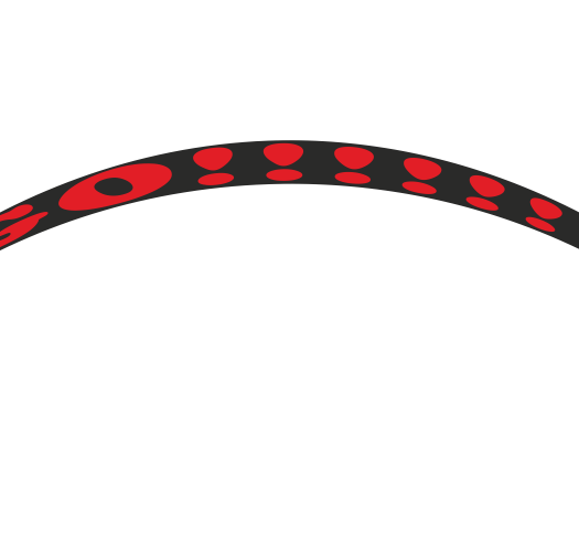 Лепенки за джанти 3M DCW39P/PR3516