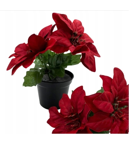 ЧЕРВЕНА ЗВЕЗДА НА ВИТЛЕЕМ В САКСИЯ ИЗКУСТВЕНО ЦВЕТЕ 15 СМ ДЕКОРАТИВНО