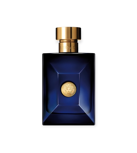 Versace Dylan Blue EDP TR 100 W