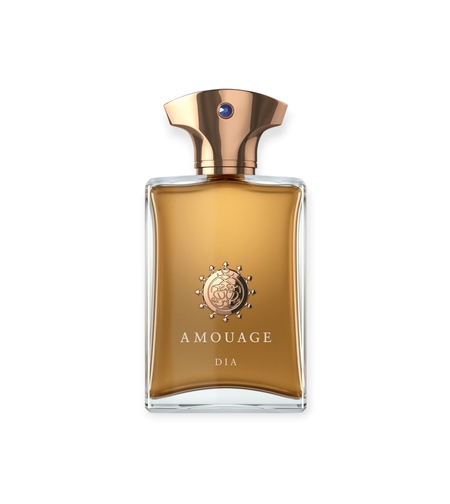 Amouage Dia pour Homme EDP TR 100 M