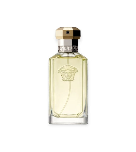 Versace Dreamer EDT TR 100 M