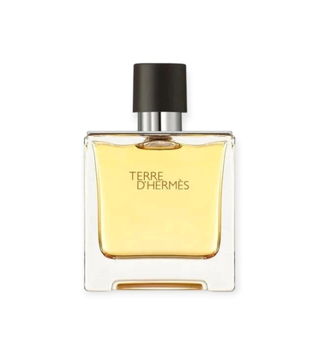 Hermes Terre D Hermes EDP 75 M