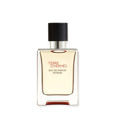 Hermes Terre D Hermes Intense EDP 100 M