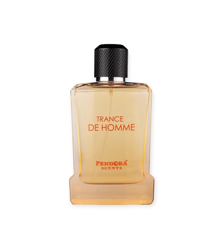 Pendora Scents Trance De Homme EDP 100 M