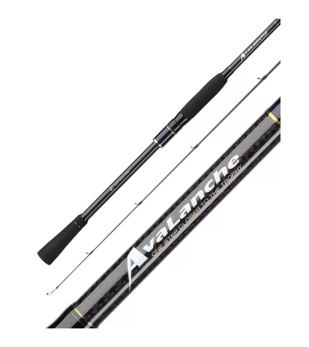 Zetrix Avalanche Spinning