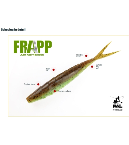 FRAPP Gekoslug 7