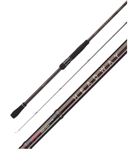 Zetrix Headway Spinning